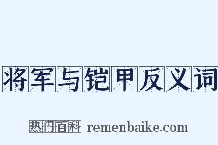 将军与铠甲反义词是什么意思的图片